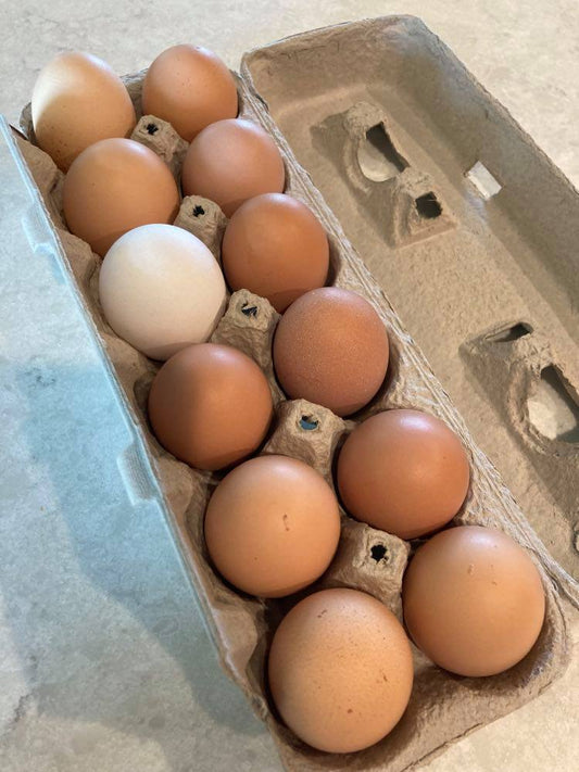 One dozen free range eggs